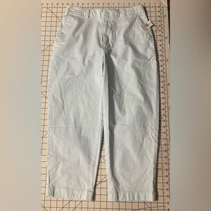 NWT GAP Women’s Size 4 Light Blue Straight Up Khaki Pants‎